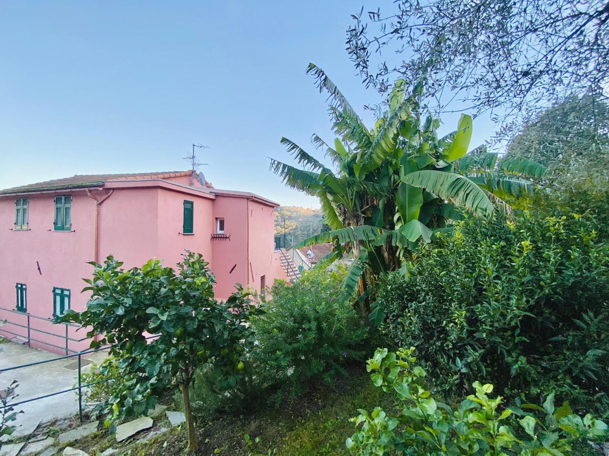 Alla Casa Rosa, Peaceful Apartment Surrounded By Greenery With Free Parking, Wifi & Air Conditioning Rapallo Exteriör bild